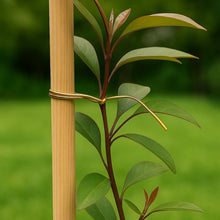 Multipurpose Twist Tie Roll 30m (1 Pc)